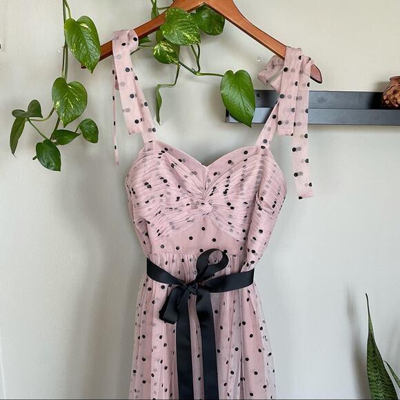 NWT Dusty Pink And Black Polka Dot Mesh Maxi Dress - Picture 5 of 6